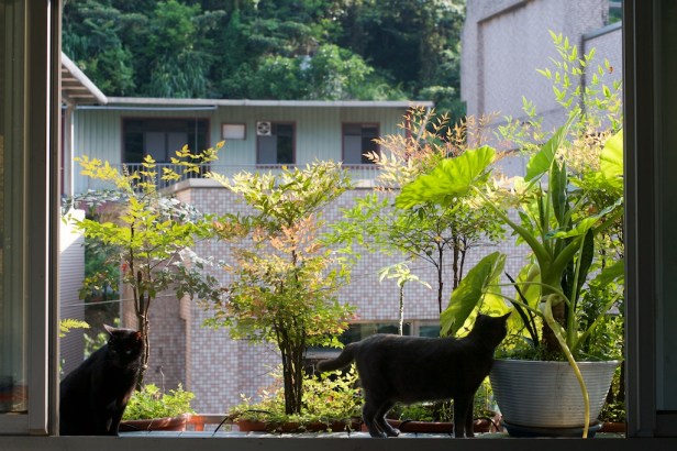 002_20170501_Cat_00022_080526