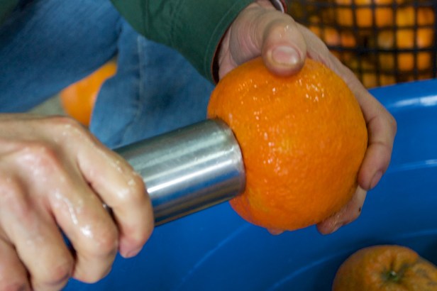 虎頭柑酸柑茶002