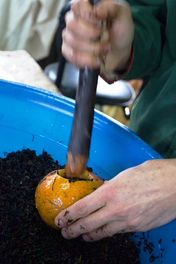 虎頭柑酸柑茶004