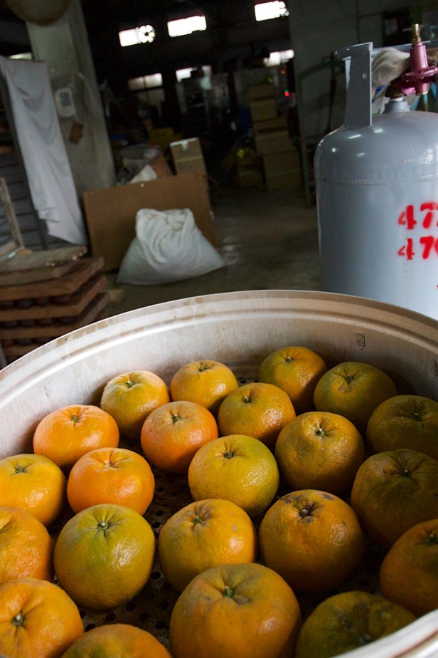 虎頭柑酸柑茶005