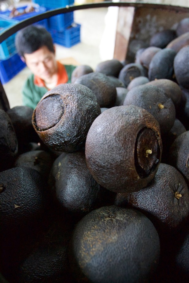 虎頭柑酸柑茶007