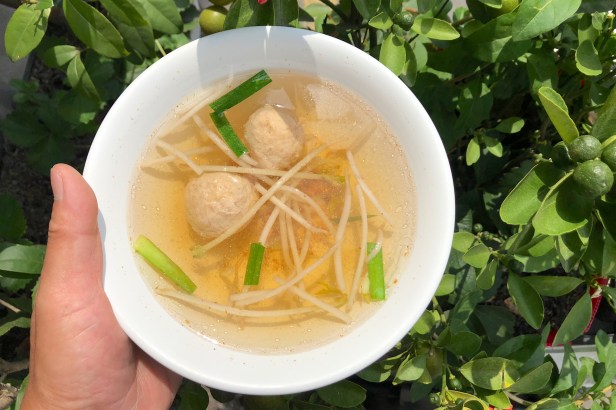 嘉義民雄椪皮麵002