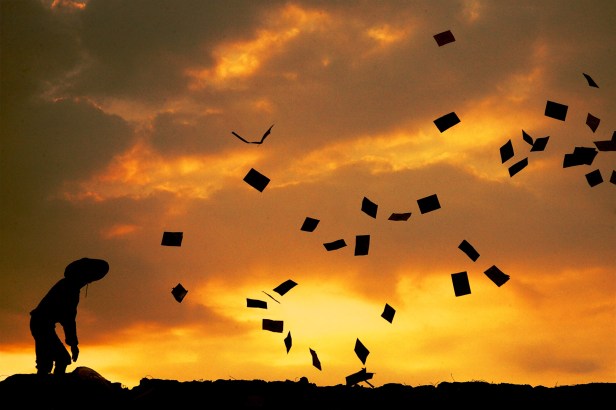 AZ台灣祭典_00001