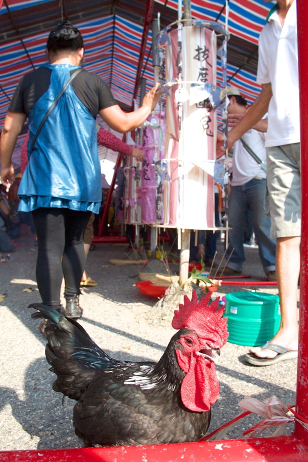 AZ台灣祭典_00003