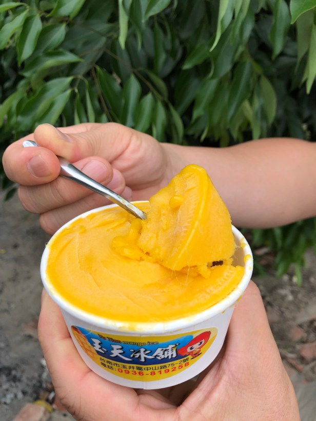 愛文芒果季節到了004