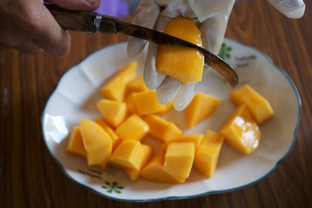 愛文芒果季節到了006