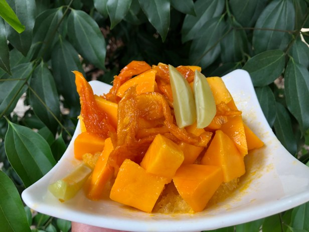 愛文芒果季節到了007