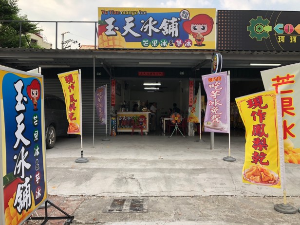 愛文芒果季節到了008