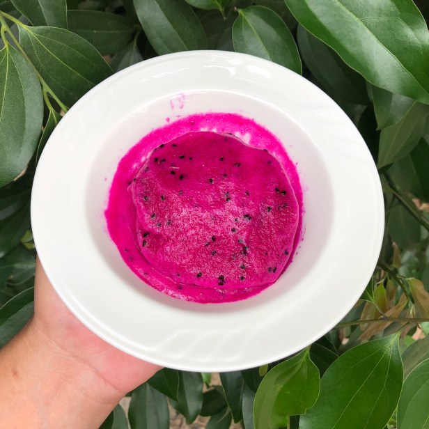 愛文芒果季節到了009