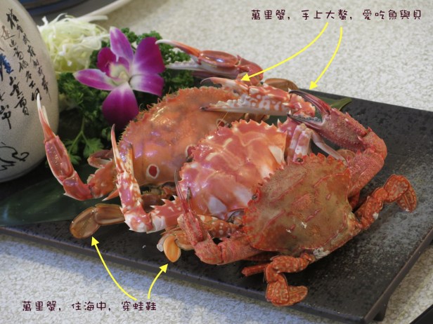 龜山島與螃蟹與藏酒001