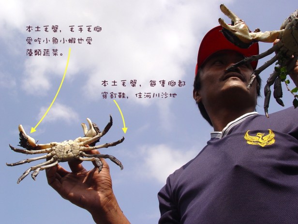 龜山島與螃蟹與藏酒002