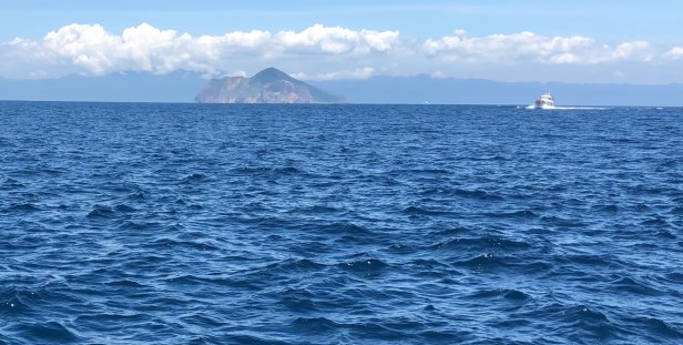 龜山島螃蟹藏酒003