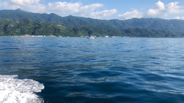 龜山島螃蟹藏酒007