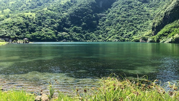 龜山島螃蟹藏酒015