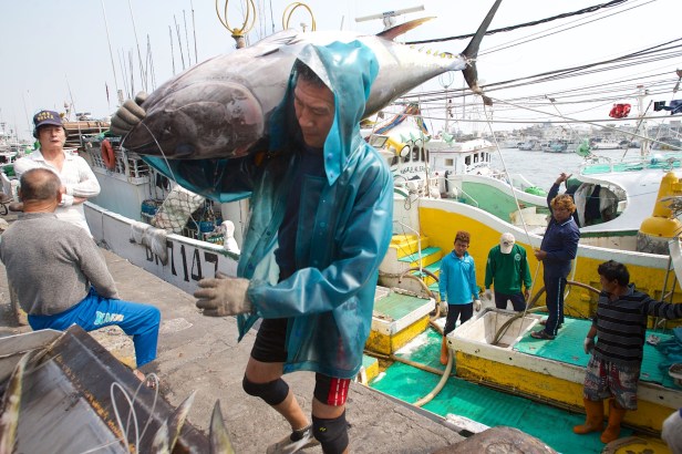 大鵬灣與小琉球011