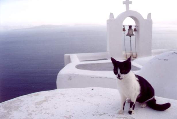 送給綠島與小琉球參考參考005