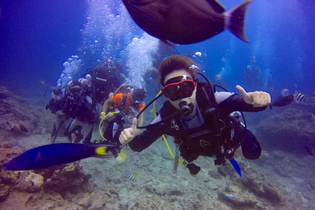 體驗潛水　綠島熱浪潛水中心提供