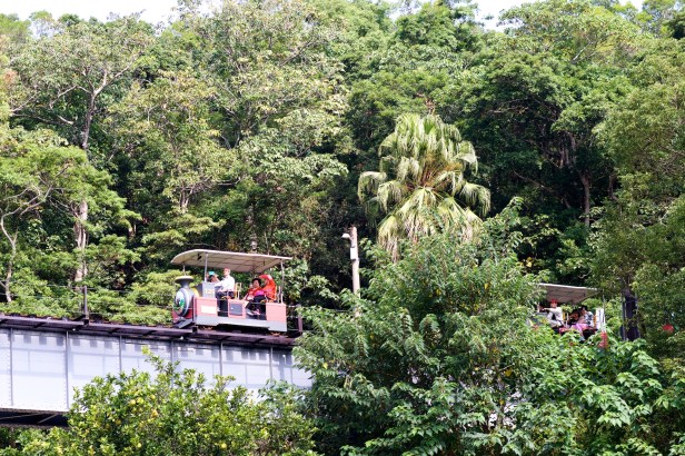 舊山線RailBike029