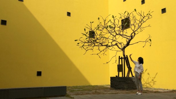 台南博物館2019-02-22 09.37.48