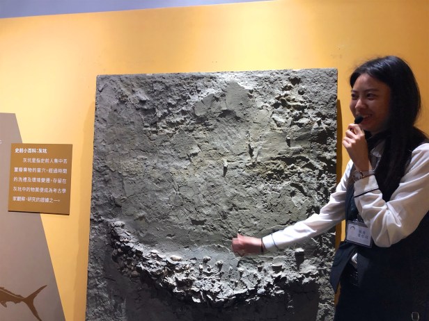 台南博物館2019-02-22 09.47.00