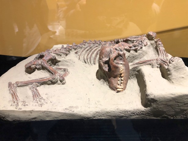 台南博物館2019-02-22 09.49.24