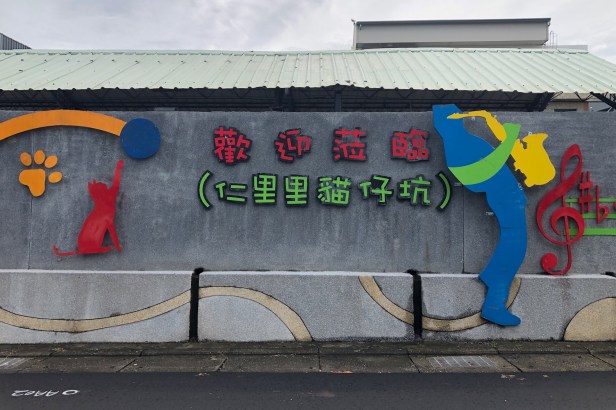 中科謝家高接梨2019-06-01 09.34.56