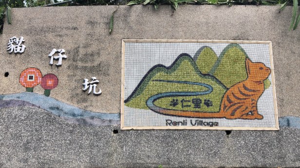 中科謝家高接梨2019-06-01 09.39.26