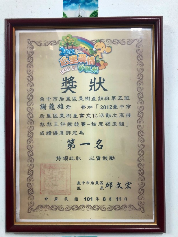 中科謝家高接梨2019-06-01 13.02.05