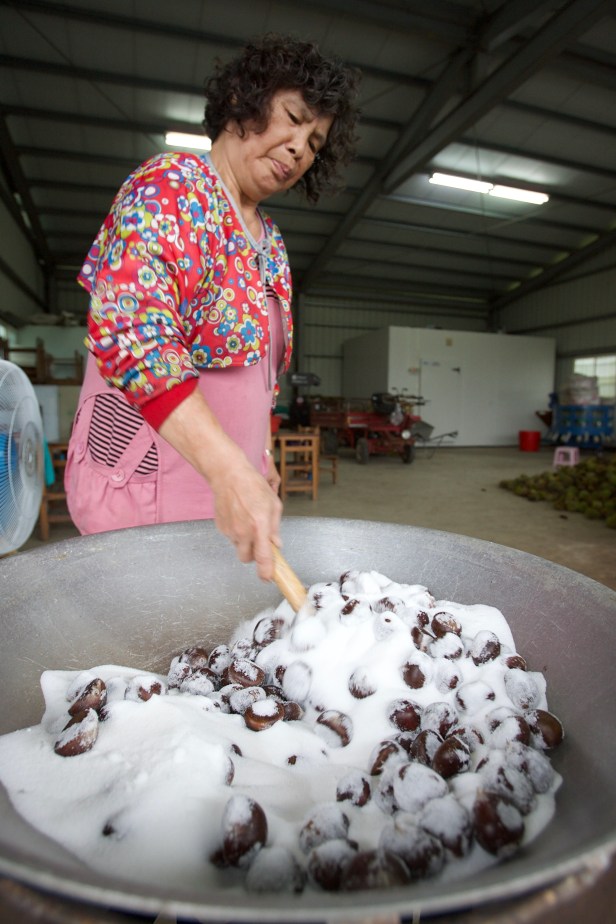 台灣特有的鹽炒栗子005