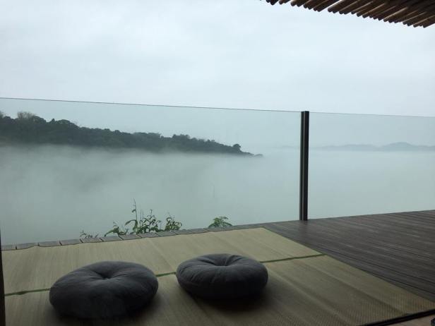 仙湖蜜蜂龍眼花006