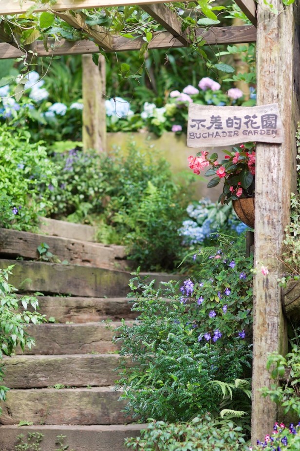 卓也小屋不差的花園001