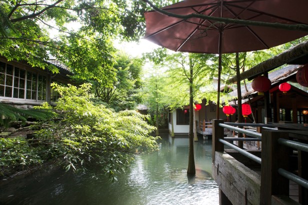 卓也小屋不差的花園002