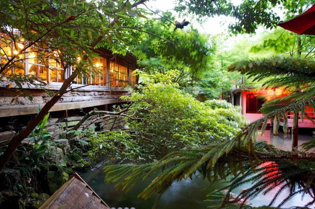 卓也小屋不差的花園003