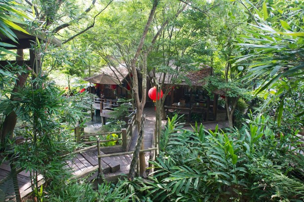 卓也小屋不差的花園004