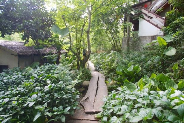 卓也小屋不差的花園005