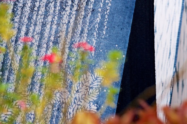 卓也小屋不差的花園009