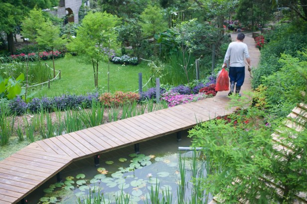 卓也小屋不差的花園013