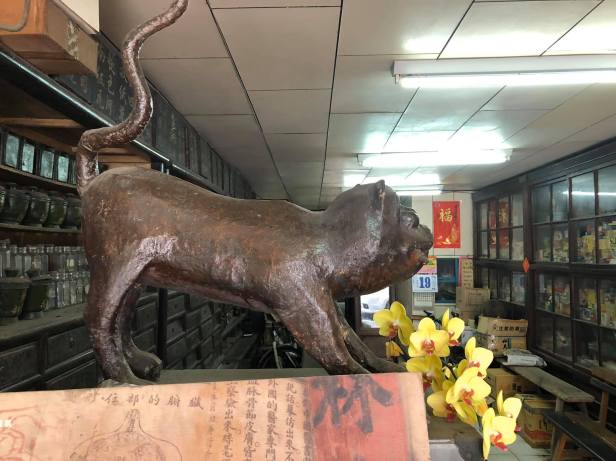 嘉義朴子虎仔店百年中藥舖木雕老虎
