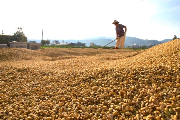 親愛的苗栗國001