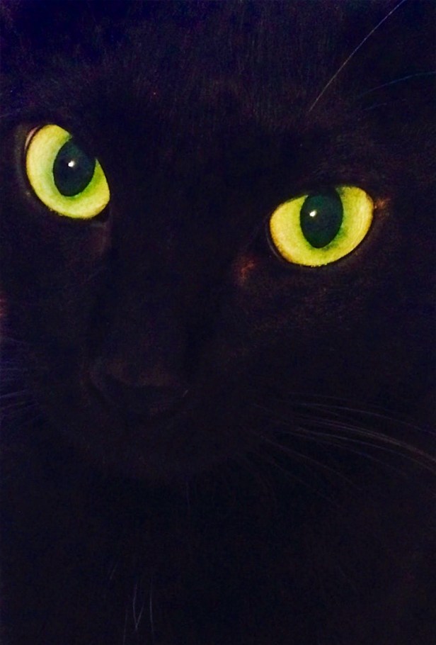 親愛的苗栗國004