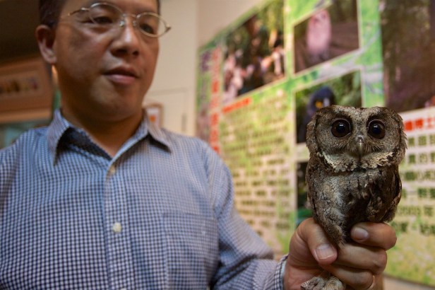 親愛的苗栗國005