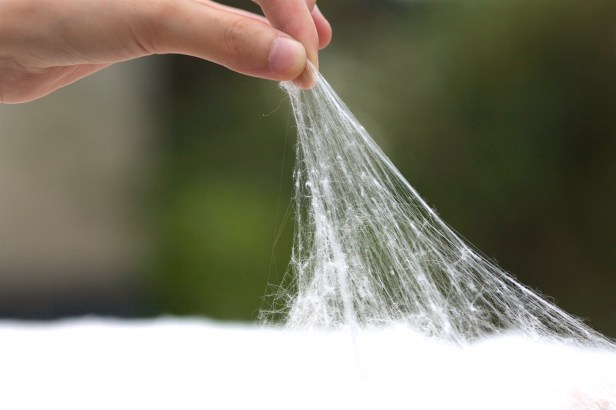 親愛的苗栗國008