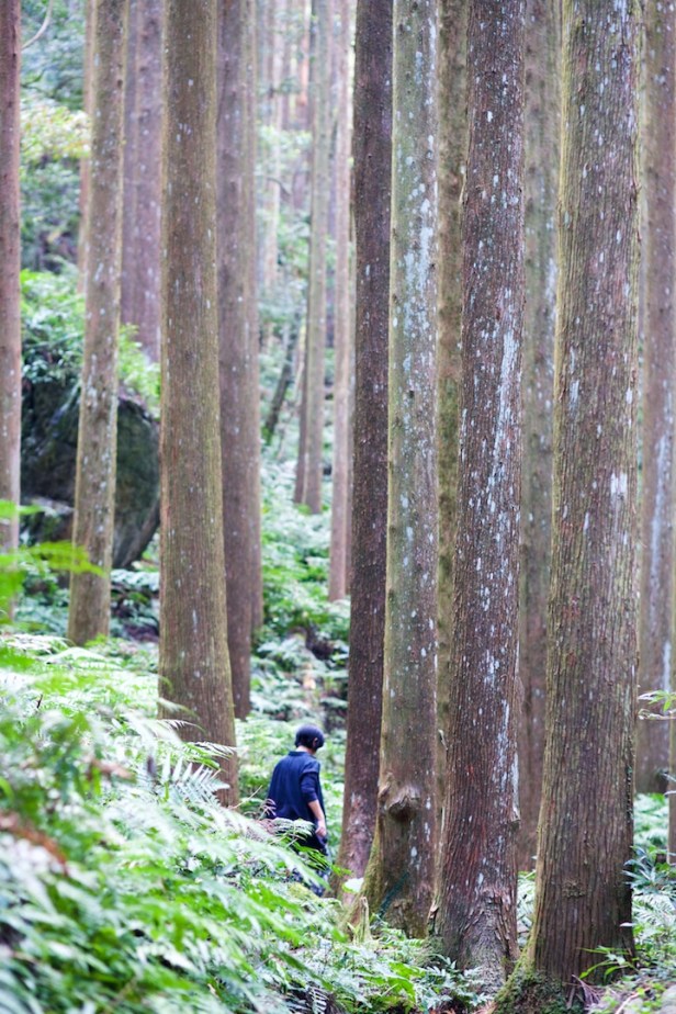 親愛的苗栗國010