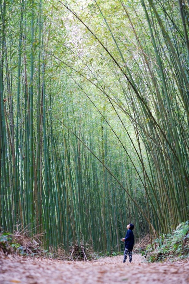 親愛的苗栗國011