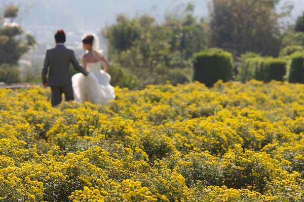 親愛的苗栗國013