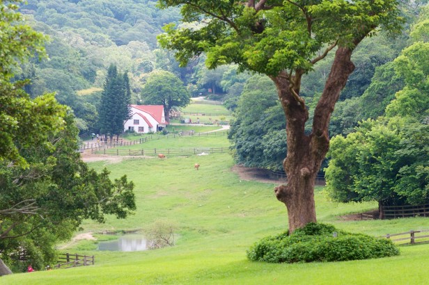 親愛的苗栗國014