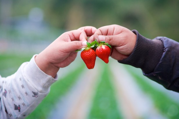 親愛的苗栗國019