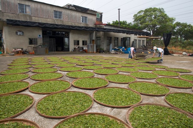 親愛的苗栗國028