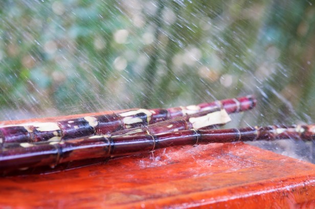 黑糖製作流程002