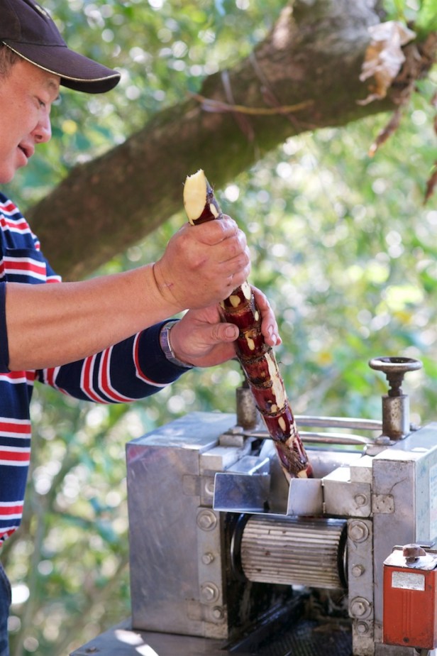 黑糖製作流程003